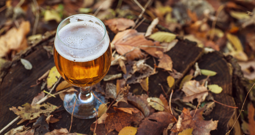 The Best Local Beers to Drink This Fall in the Ann Arbor Area